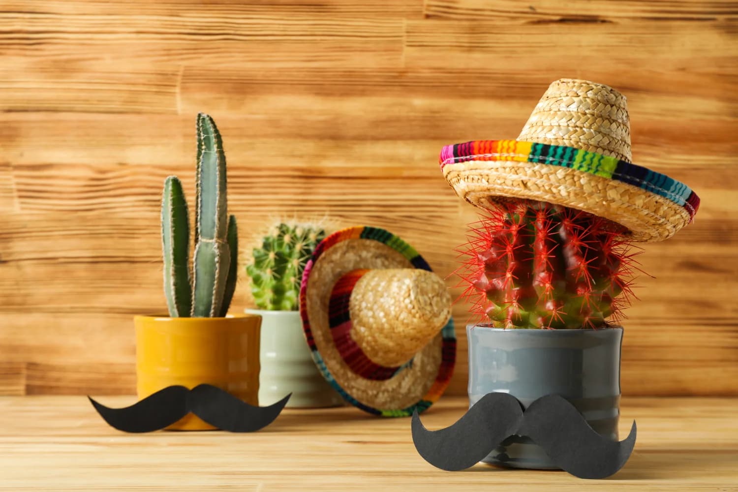 fathers day mexican style with taqueria maria bonita 1